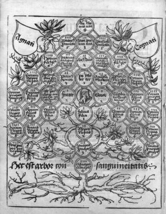 titelbilderbe